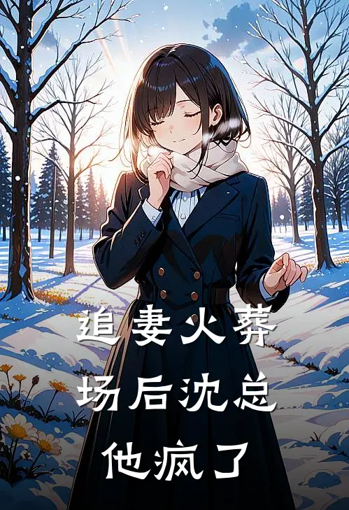 追妻火葬场后 沈总他疯了